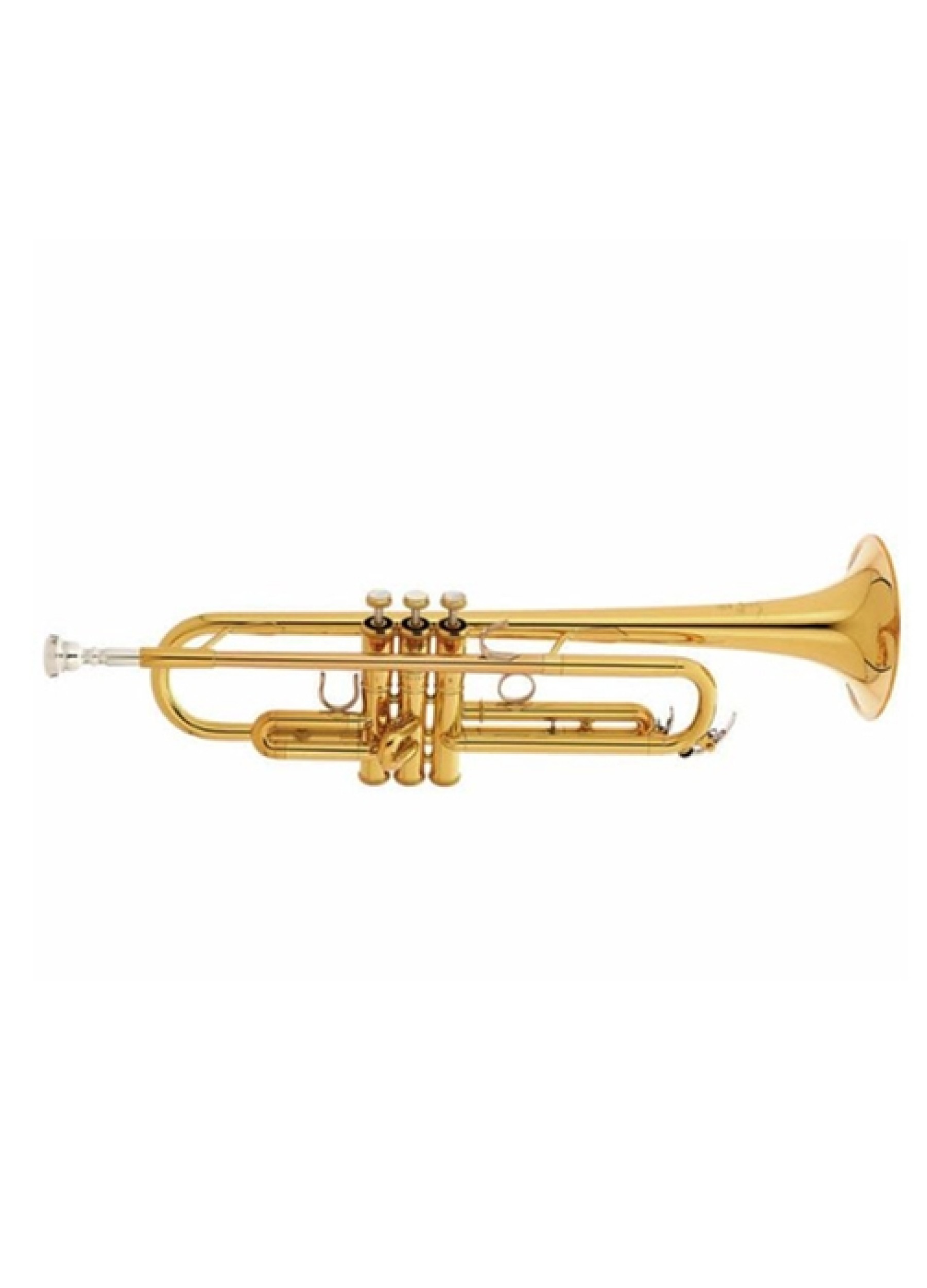 Yamaha ytr 8310z on sale