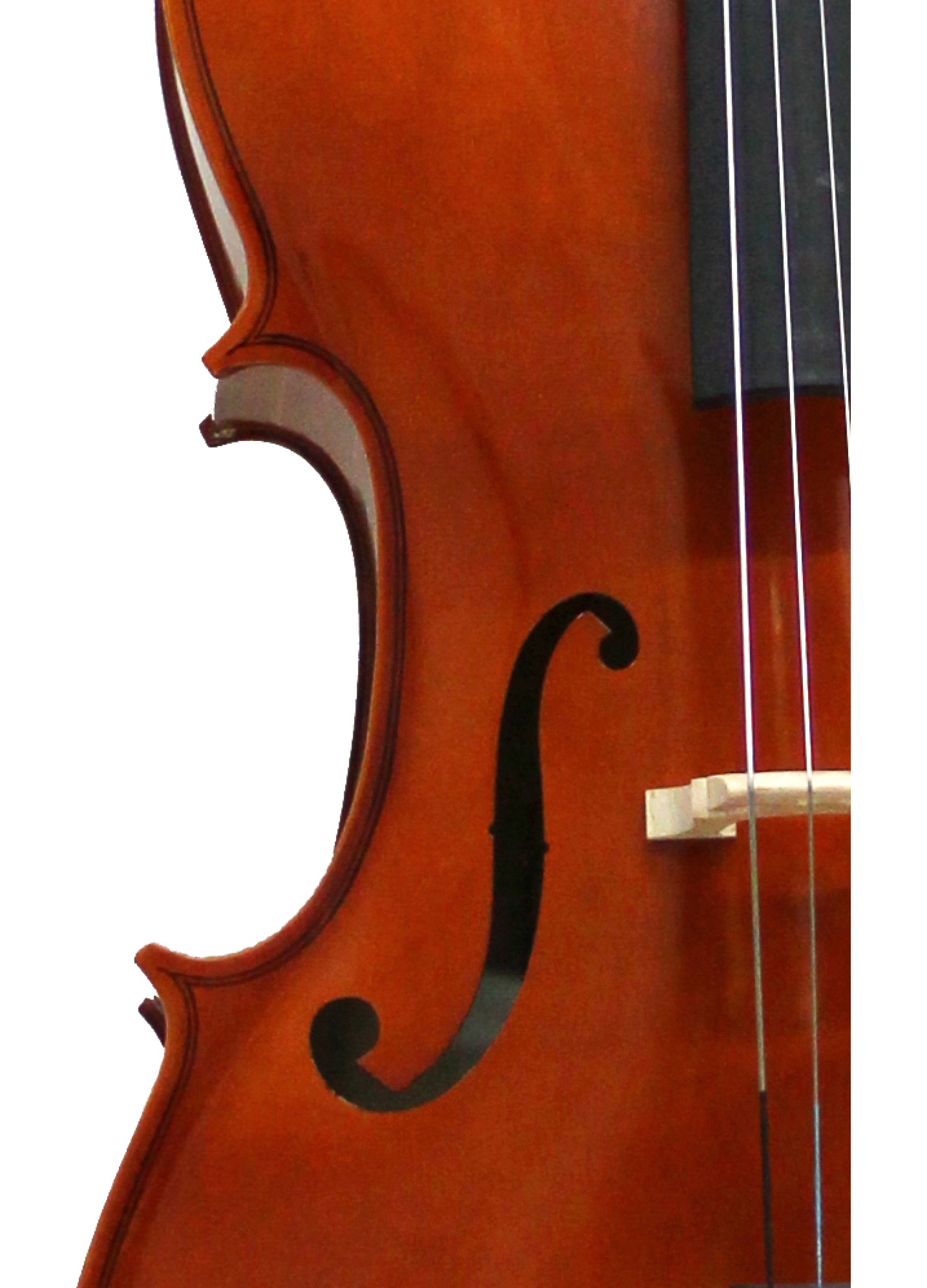 Pennarello Per Violoncello Dilwe - Guida Diteggiatura Per Principianti | Taglia 3/4 - Foto 2