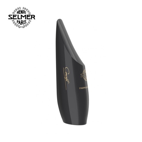 Bocchino Selmer Concept sax tenore