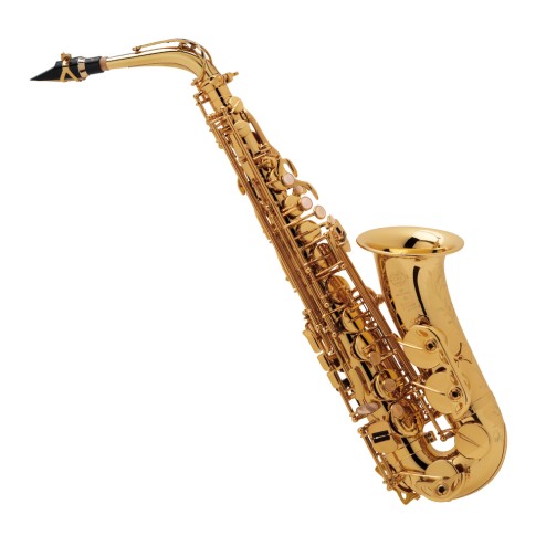 Sax alto Selmer SA80 II GG JUBILEE con bocchino con custodia