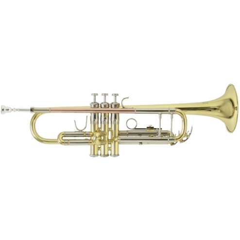 Bach TR501 Tromba Sib laccata