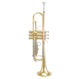 Tromba Sib Elkhart 100TR Laccata