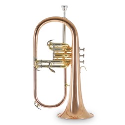 Flicorno soprano Roy Benson FH302G