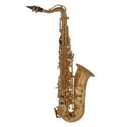 Sax Alto Roy Benson AS201