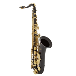Sax Tenore Elkhart 100TS