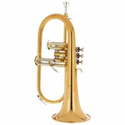 Flicorno soprano in Sib Jupiter JFH1100RQ laccato