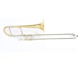Trombone contralto Mib Roy Benson AT-201 Laccato 