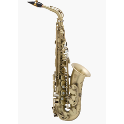 Sax alto Selmer Signature satinato