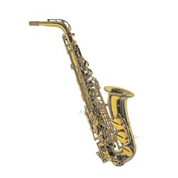 J.Will SA0102L Sax Alto laccato