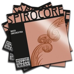 Muta corde per contrabbasso Spirocore Thomastik Infeld tensione media con pallino mod.bass orchestra