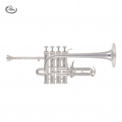 Tromba B&S mod. BS31312-2-0D in Sib/La