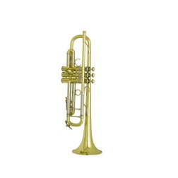 Tromba in Sib Bach Artisan laccata USATA
