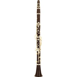 Clarinetto Yamaha YCL-CSGIIIHL Custom in Sib