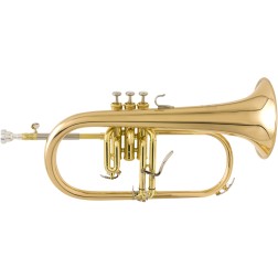 Flicorno soprano in Sib Yamaha YFH-8315G laccato