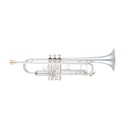 Tromba in Sib Yamaha YTR-8335GS argentata