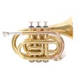 Tromba Sib Pocket Roy Benson PT-101