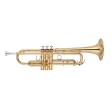 Tromba in Sib Yamaha YTR-8310Z 03 laccata
