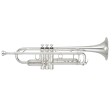 Tromba in Sib Yamaha YTR-8335GS argentata