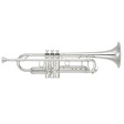 Tromba in Sib Yamaha YTR-8335S argentata