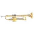 Tromba in Sib Yamaha YTR-8345G laccata 