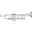 Tromba in Sib Yamaha YTR-8345GS argentata