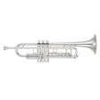 Tromba in Sib Yamaha YTR-8345S argentata