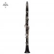 Buffet Crampon Tosca BC1150GL-2-0 clarinetto sib