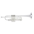 Tromba in Do Vincent Bach C180SL 22925H