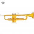 Tromba B&S mod.MBX2 Martinez in Sib Gold