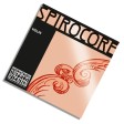 Corda Violino RE (D) Spirocore Thomastik tensione Stark con pallino