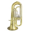 Tuba Usata in Mib MW a pistoni