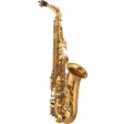 YAS-875EX V Yamaha sax alto in Mib serie Custom EX laccato color oro