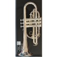 Cornetta Sib Yamaha YCR-2310III USATA