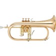 Flicorno soprano in Sib Yamaha YFH-8310ZG 02 laccato