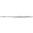 YFL-222 Yamaha Flauto Traverso in Do