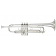 Tromba in Sib Yamaha YTR-5335GSII Argentata