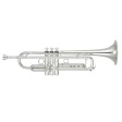 Tromba in Sib Yamaha YTR 8335RGS Argentata