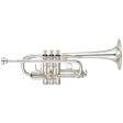 Tromba in Mib/Re Yamaha YTR-6610S argentata