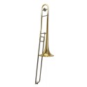 Trombone tenore Sib/Fa Elkhart 100TB