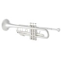 Tromba in Sib Vincent Bach "Anniversary" mod. 190S-43 argentata