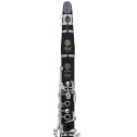 Clarinetto Selmer Recital in Sib