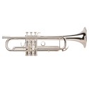 Tromba Sib Adams A3 serie selected argentata