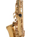 Sax Alto Roy Benson AS202