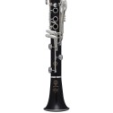 Clarinetto Selmer Recital in Sib