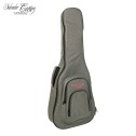 Custodia chitarra Classica Salvador Cortez CC 60CE