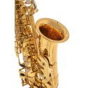 Sax Alto Roy Benson AS201