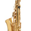 Sax Alto Roy Benson AS201