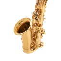 Sax Alto Roy Benson AS202