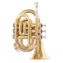 Tromba Sib Pocket Roy Benson PT-101