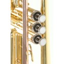 Tromba Sib Roy Benson TR-101